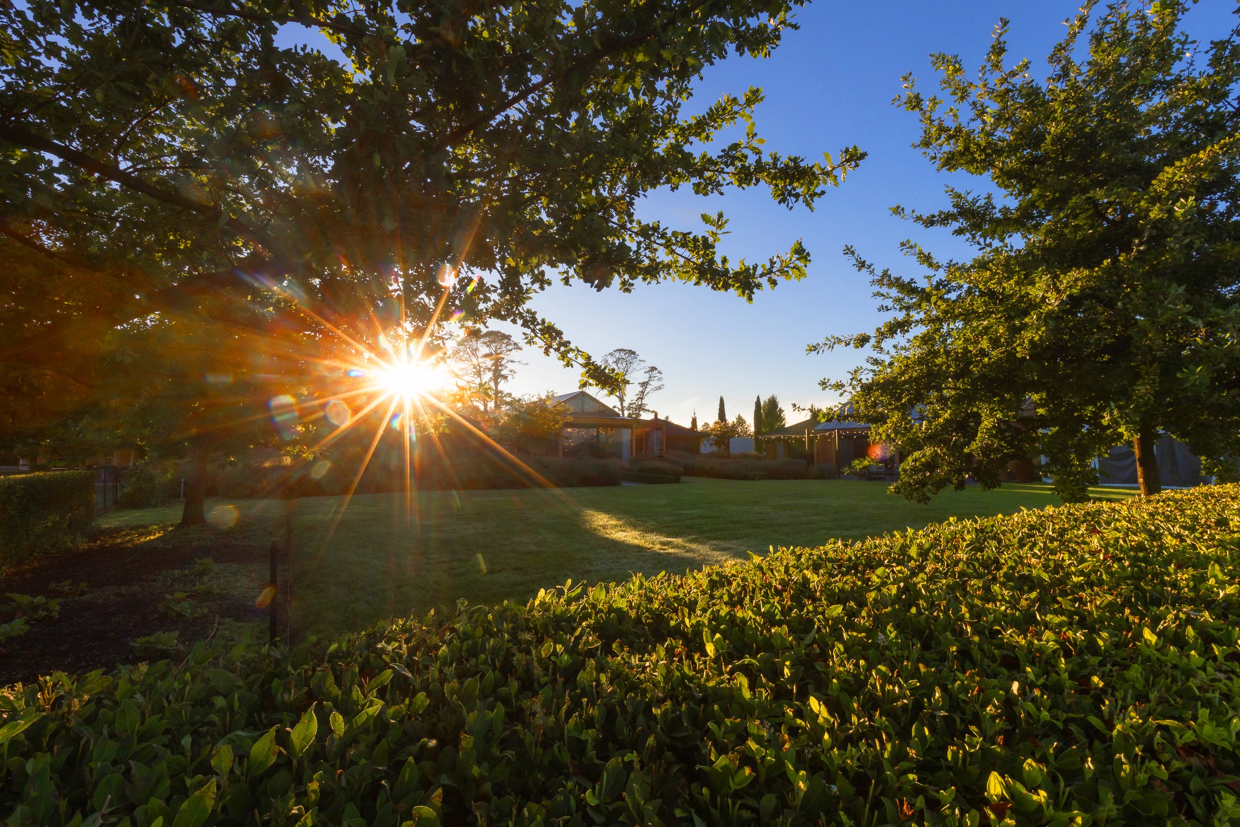 Pialligo Estate gardens, lawn and pavilion at sunset